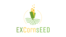 EXCornsEED